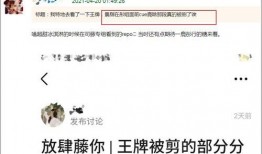 分手爆料视频大全最新版,揭秘情感裂痕背后的真相
